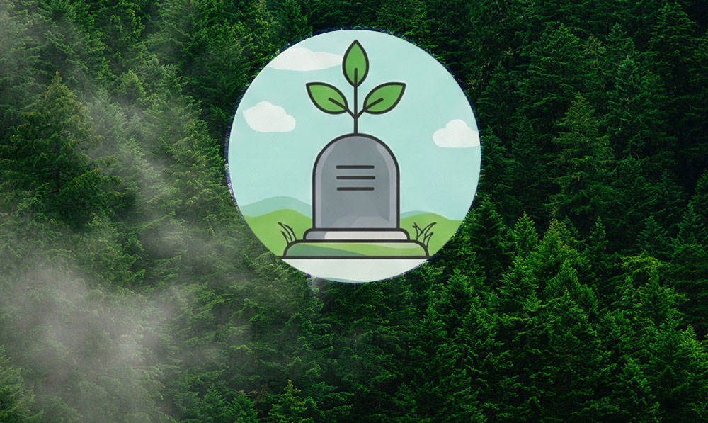 Anma Fidan Sertifikası