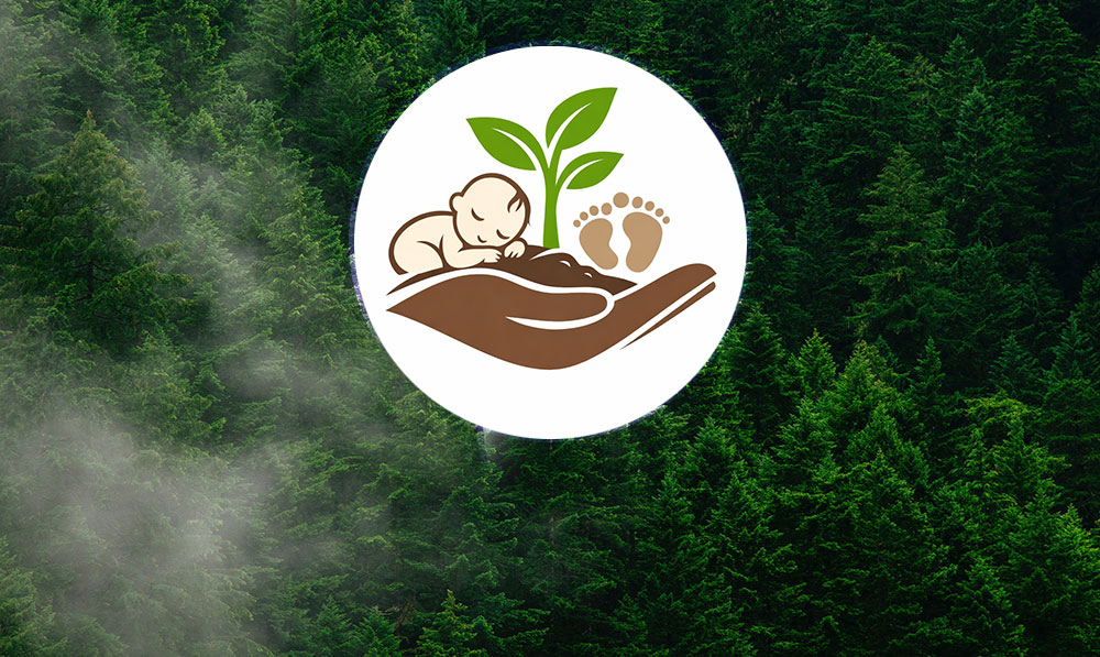 Yeni Doğan Bebek Fidan Sertifikası