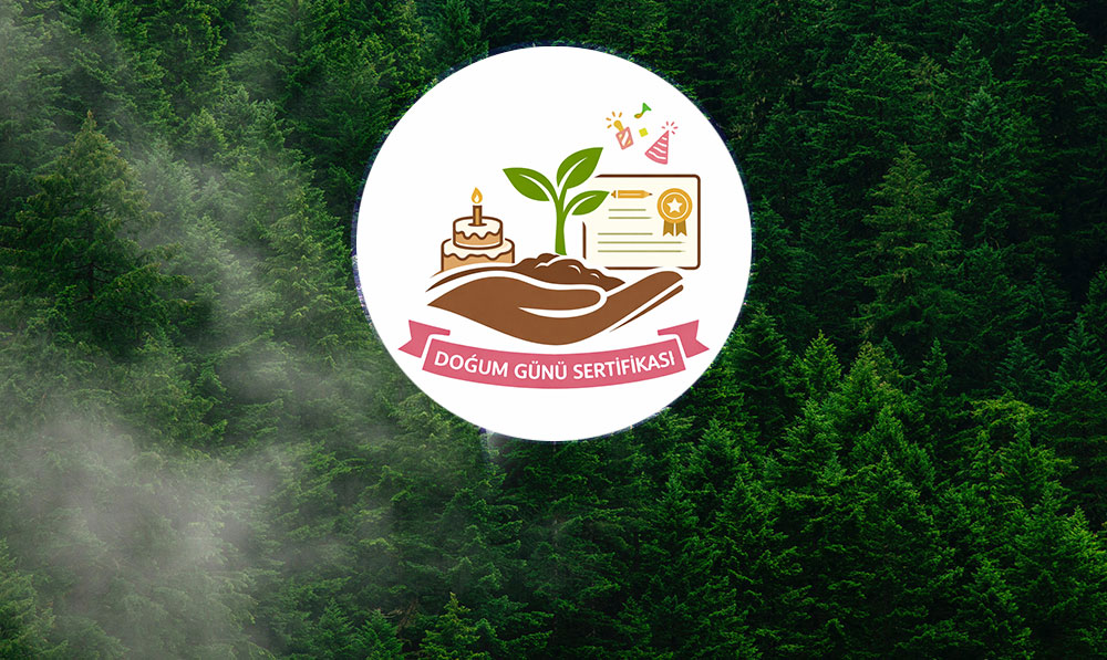 Doğum Günü Fidan Sertifikası
